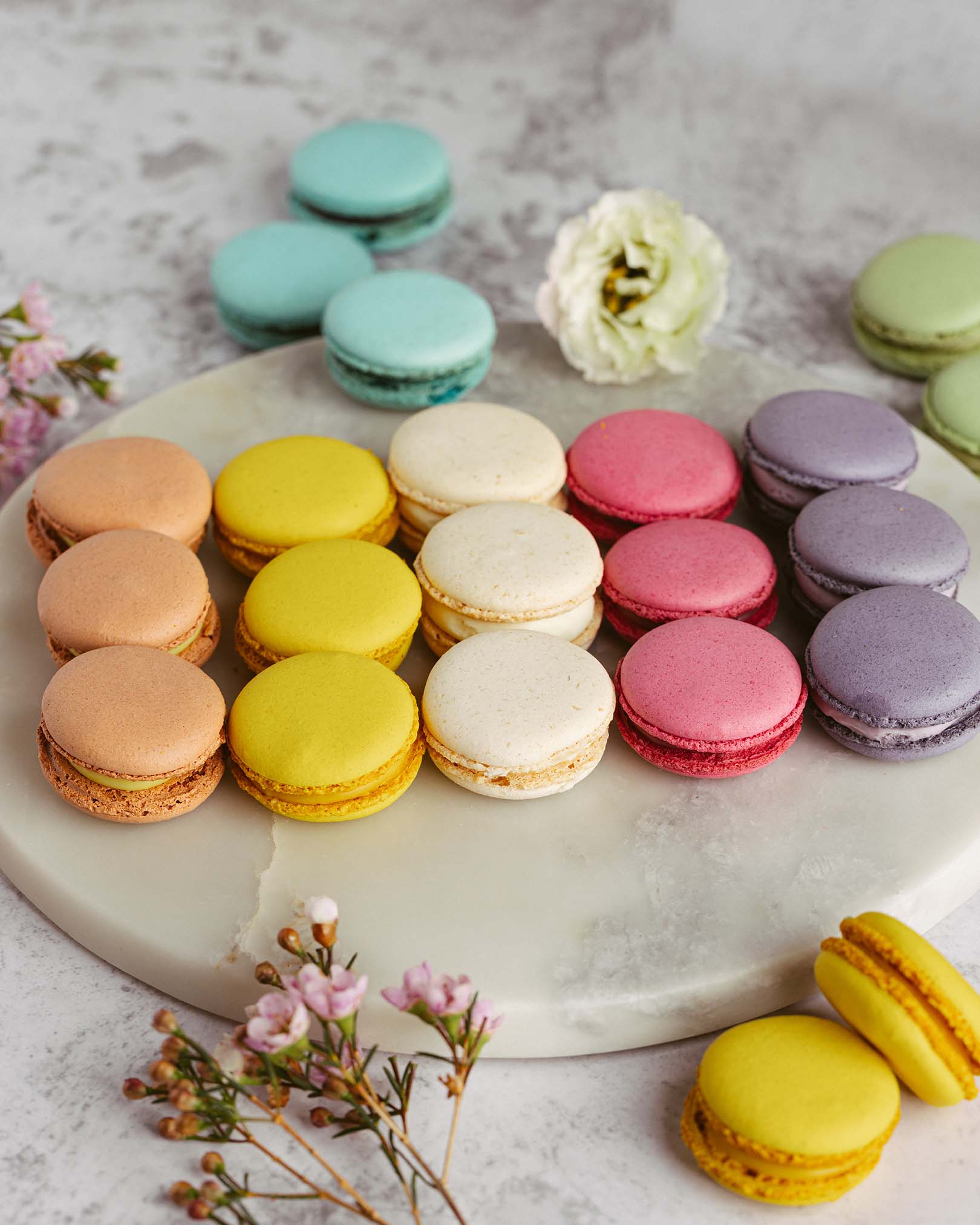 📷 Cristian Istrate | www.istratec.com